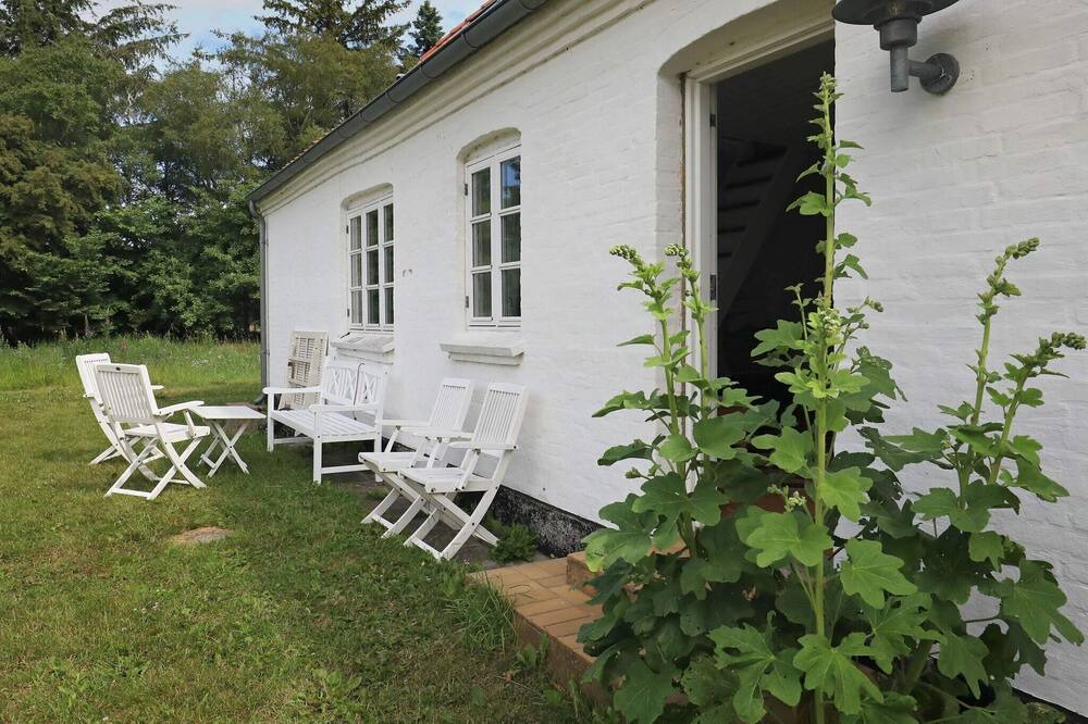 Photo of Others in Skiveren