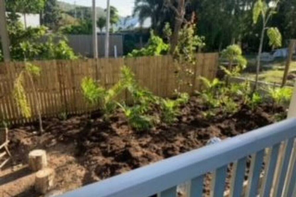 Photo of Others in North Ward