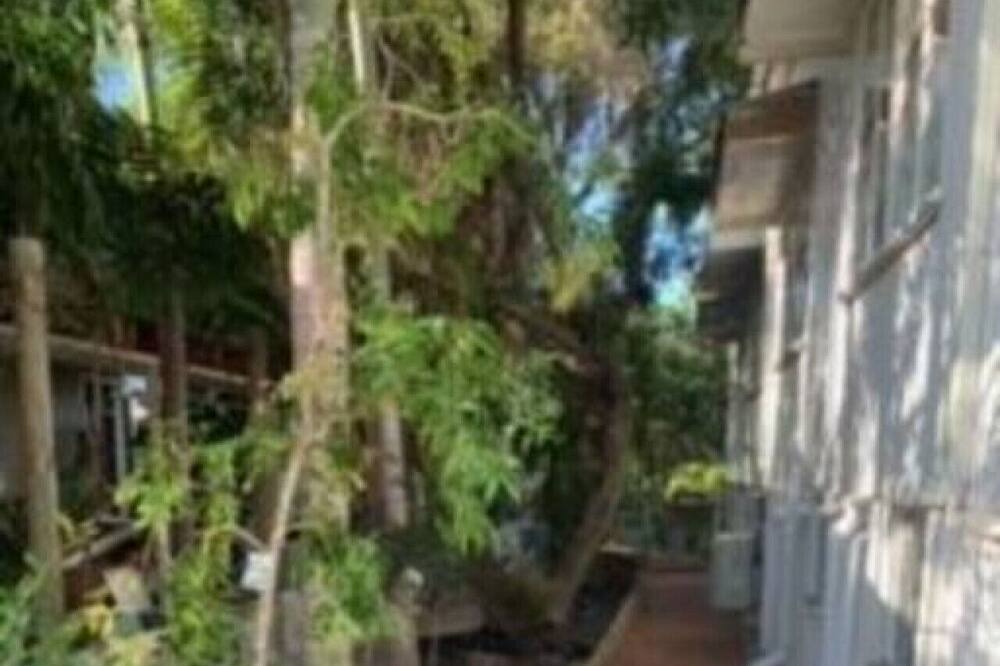 Photo of Others in North Ward