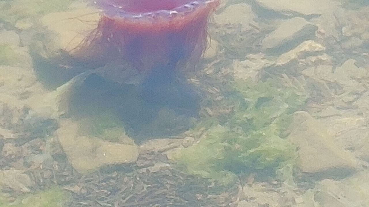 Photo of Others in Cormierville