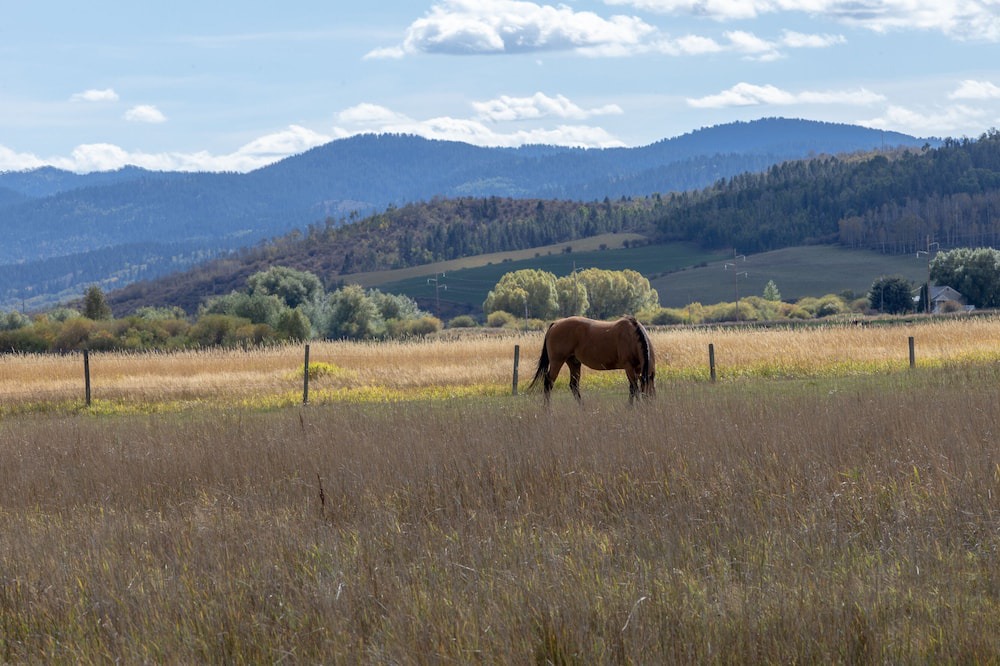 Photo of Others in Star Valley Ranch