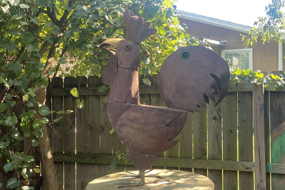 Photo of Outdoor in San Marcos