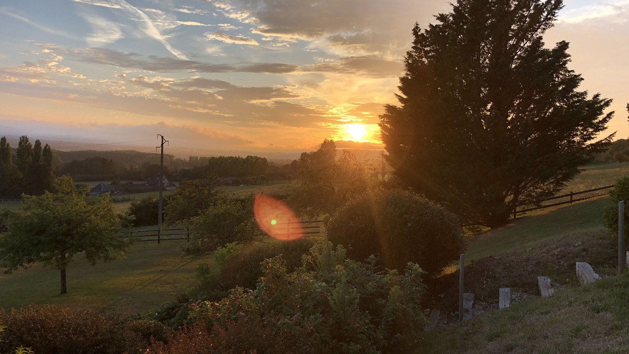 Photo of Outdoor in Saint-Martin-aux-Chartrains