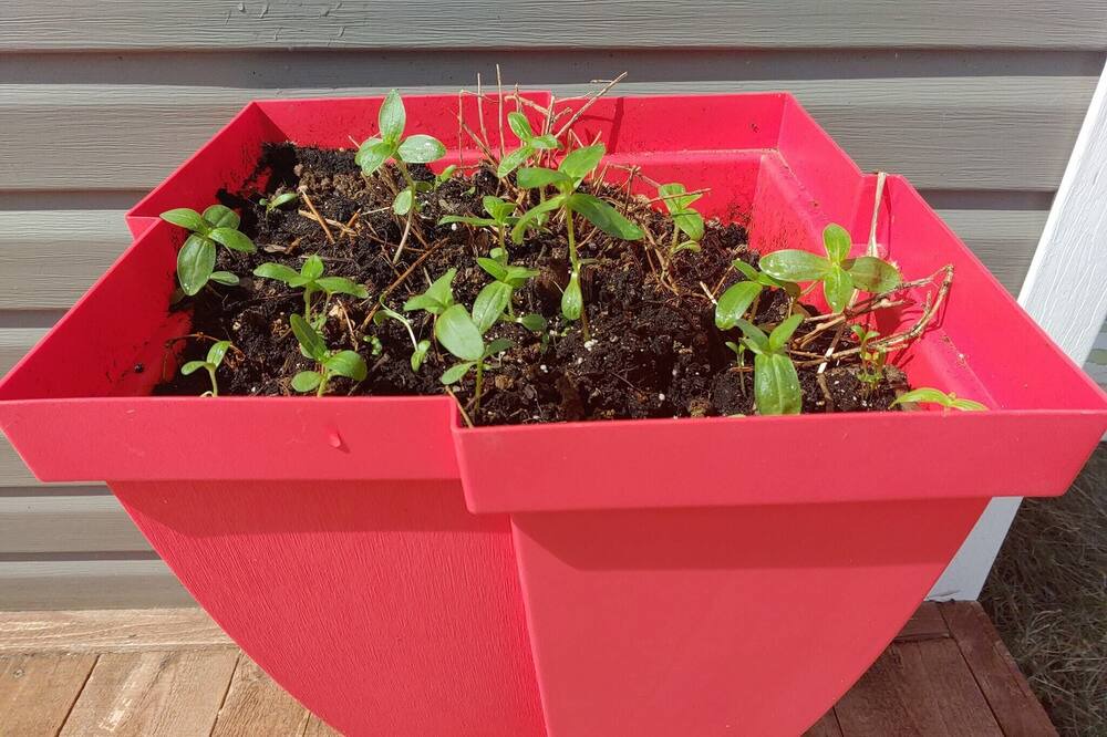 Photo of Others in Port-Daniel