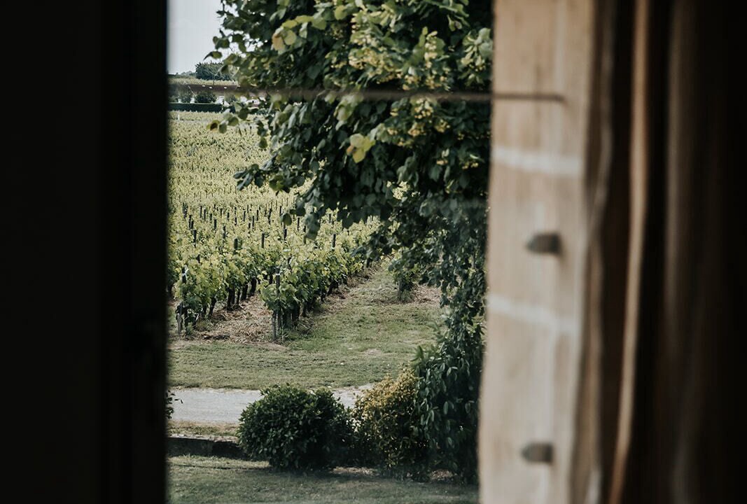 Photo of Bedroom in Lussac