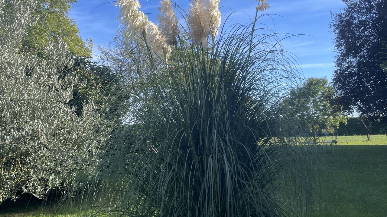 Photo of Outdoor in Esvres