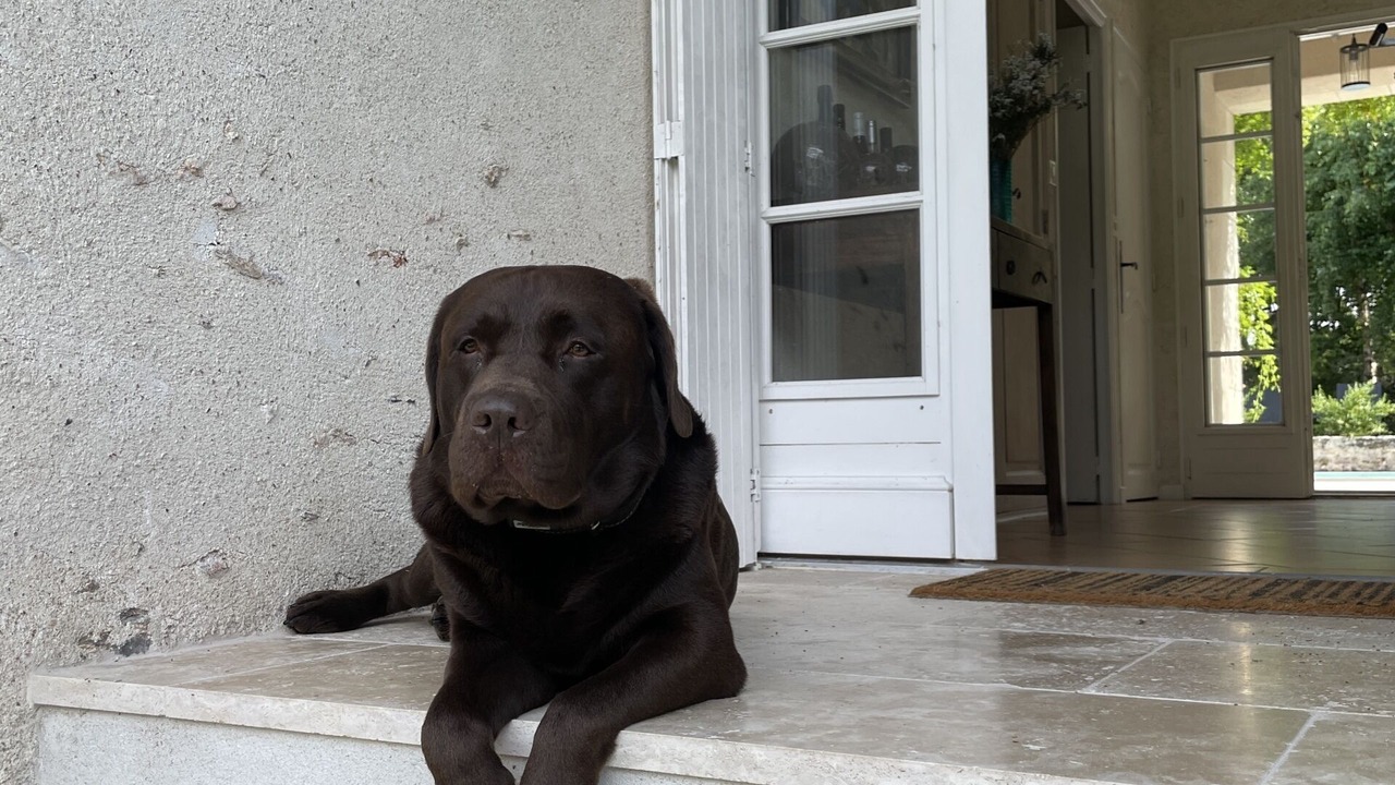 Photo of Others in Esvres