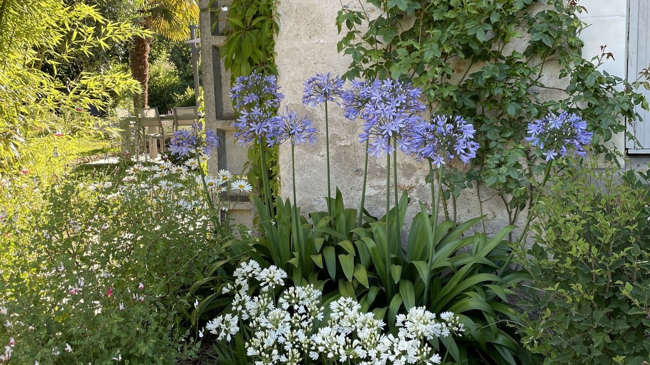 Photo of Outdoor in Esvres