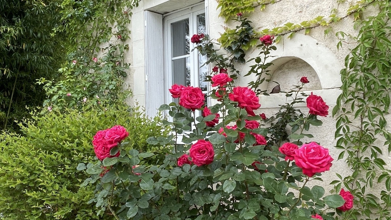 Photo of Outdoor in Esvres