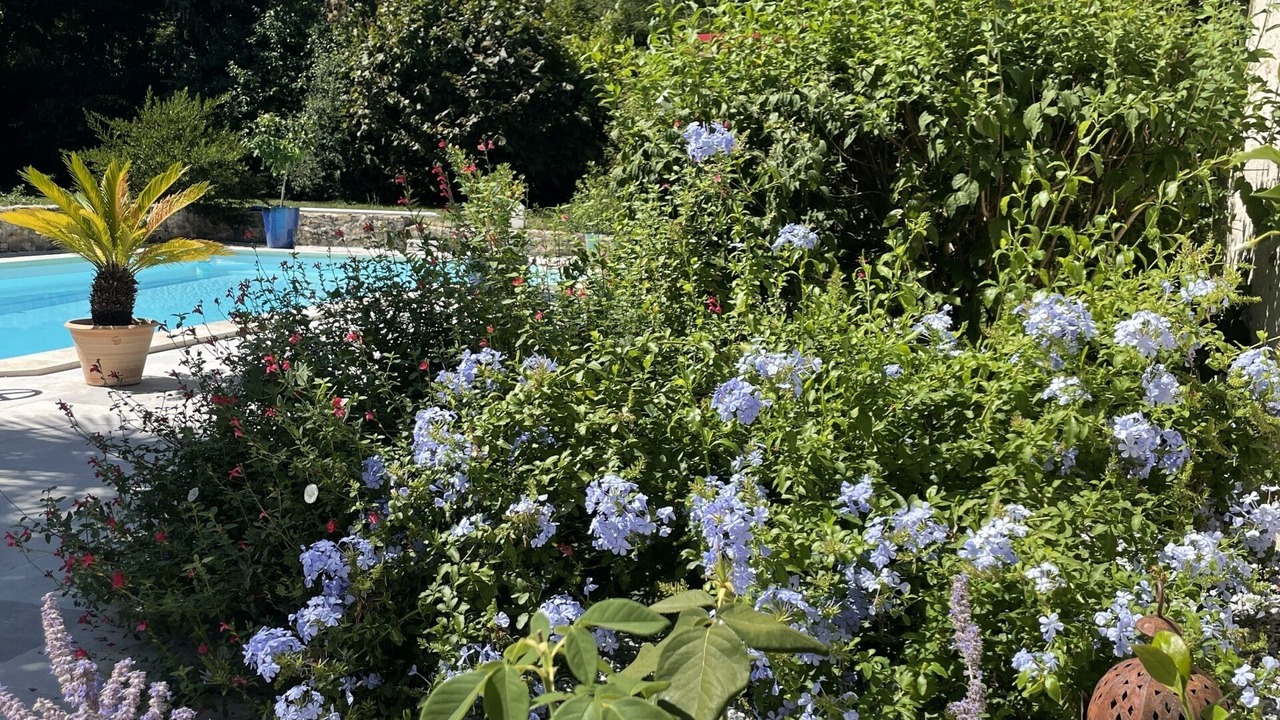 Photo of Outdoor in Esvres