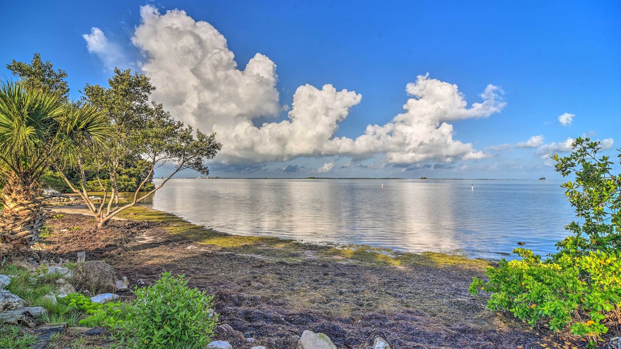Photo of Others in Crystal Beach