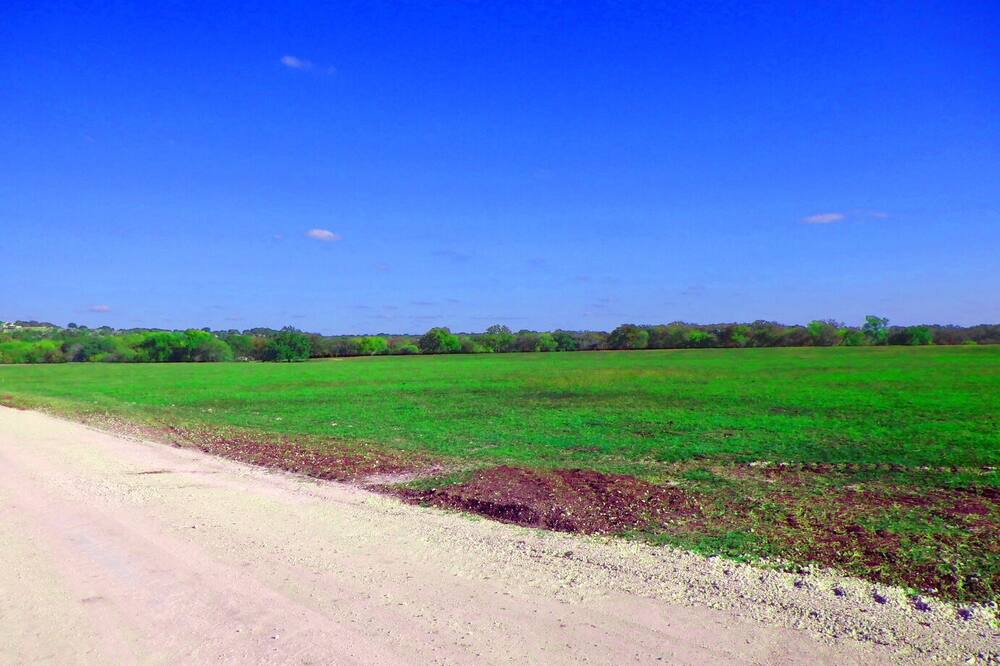 Photo of Others in Kempner