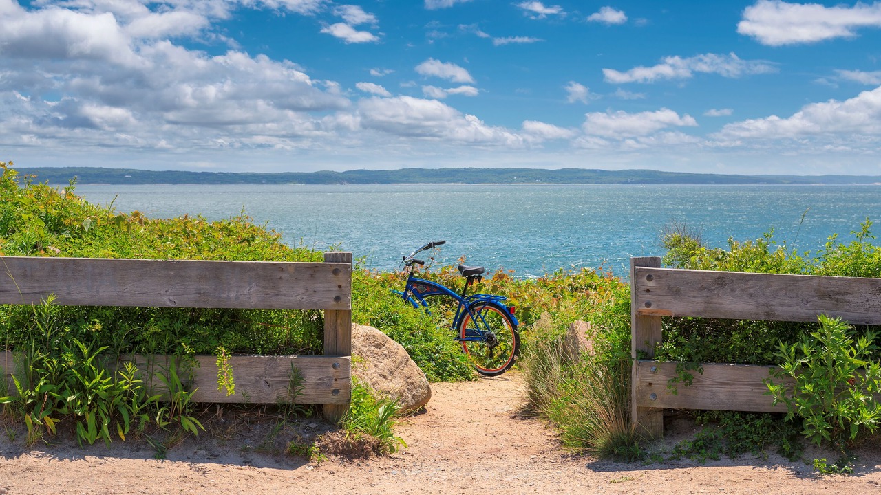 Photo of Others in Falmouth Heights