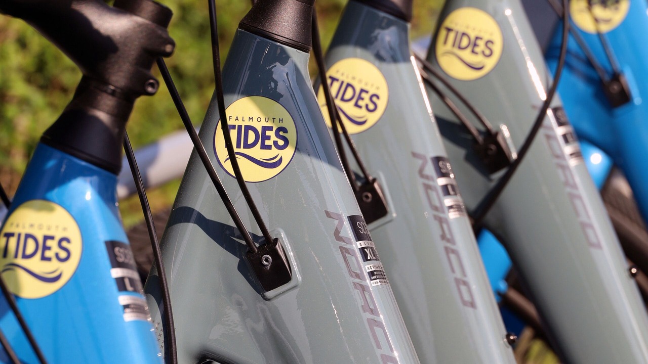 Photo of Outdoor in Falmouth Heights