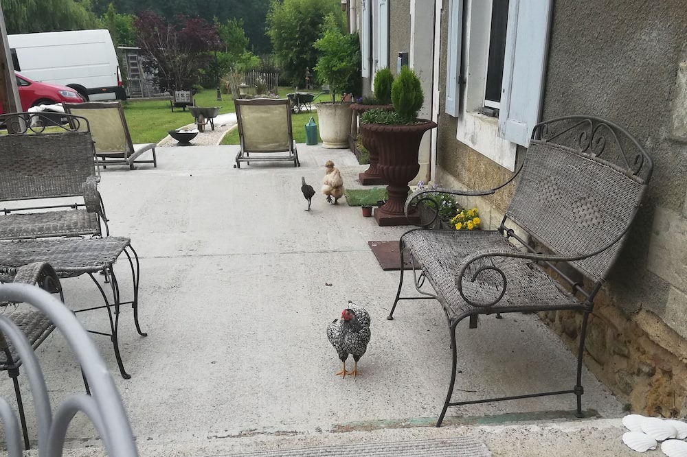 Photo of Others in Theze