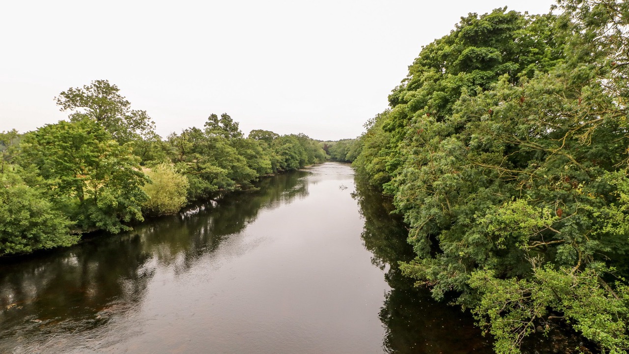 Photo of Others in Masham