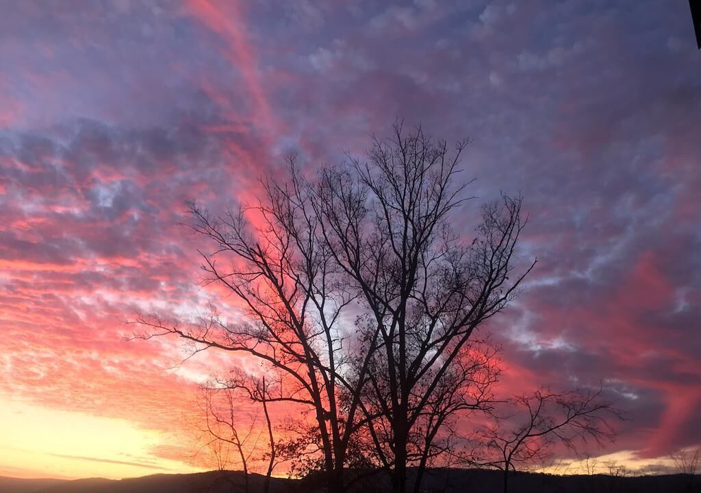 Photo of Others in North Chattanooga