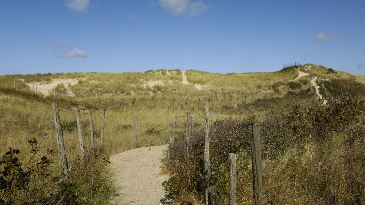 Photo of Others in Stella-Plage