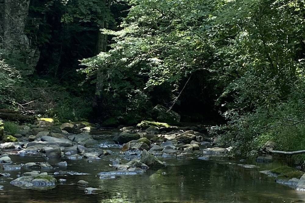 Photo of Outdoor in Harper