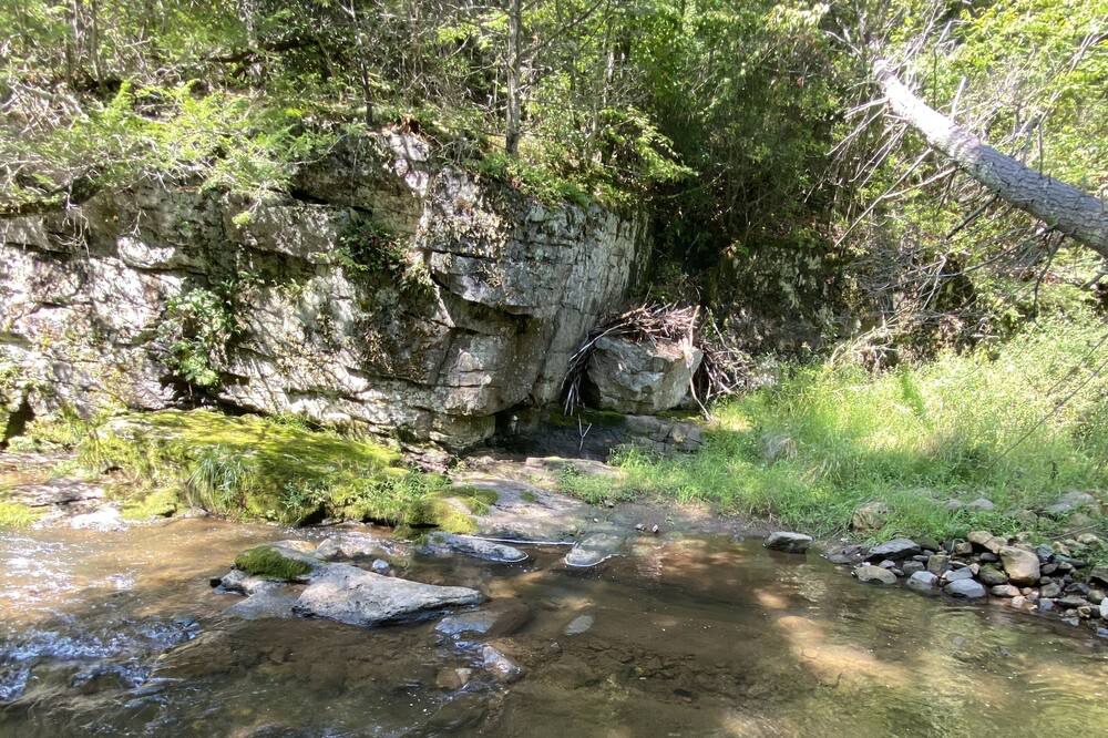 Photo of Outdoor in Harper