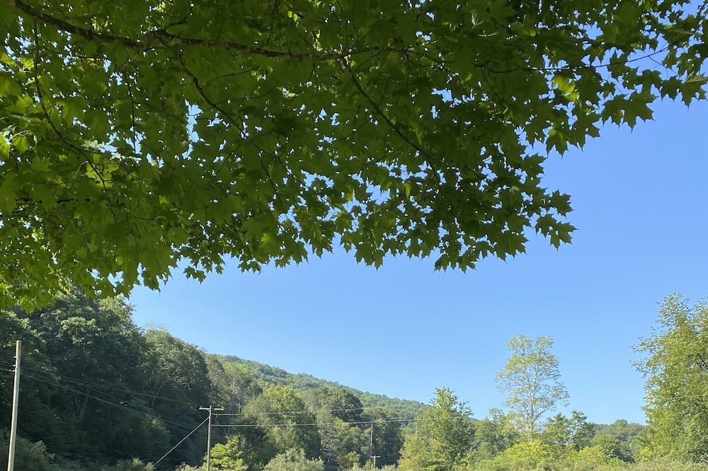 Photo of Outdoor in Harper
