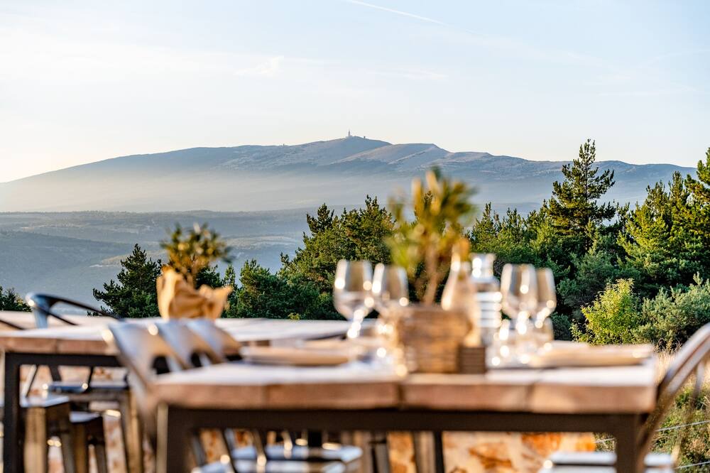 Photo of Others in Sault