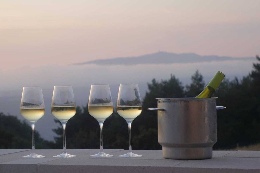 Photo of Others in Sault