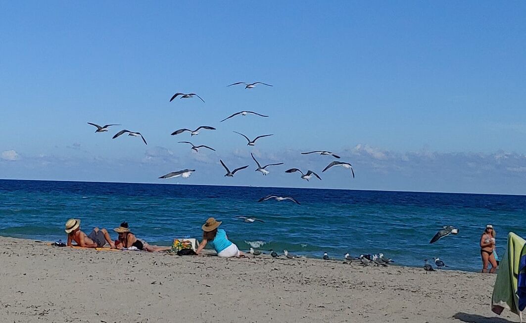 Photo of Others in Hollywood