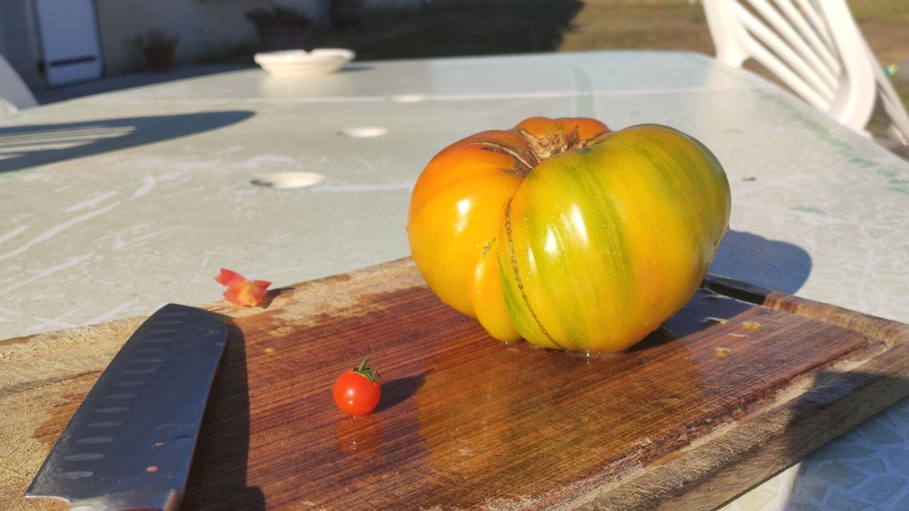 Photo of Others in Valencay