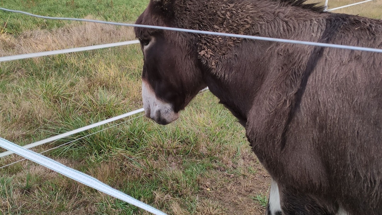 Photo of Outdoor in Valencay