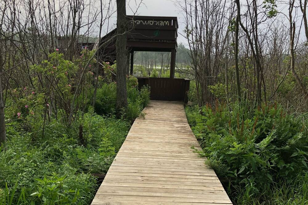 Photo of Outdoor in Grand Haven
