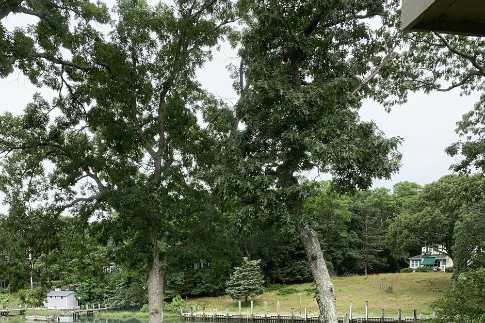 Photo of Outdoor in Cutchogue