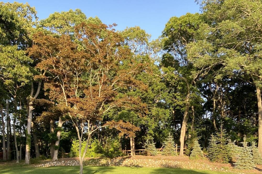 Photo of Others in Cutchogue