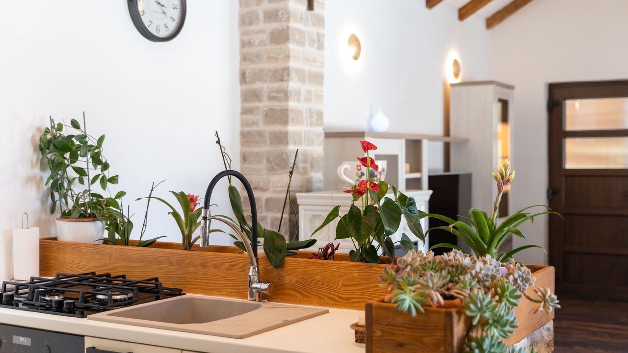 Photo of Kitchen in Pridraga