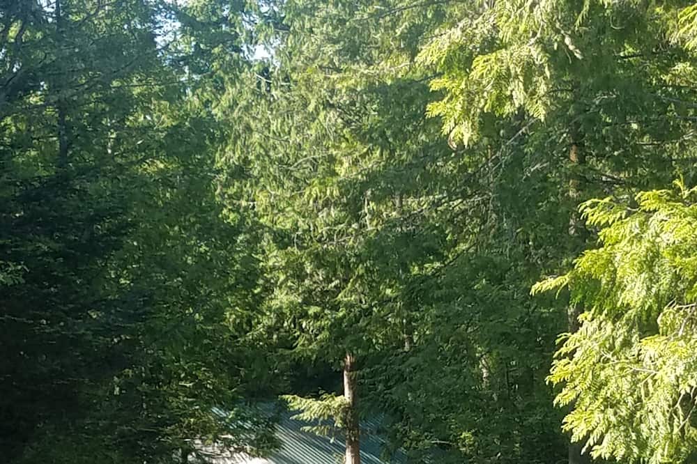 Photo of Others in Sequim