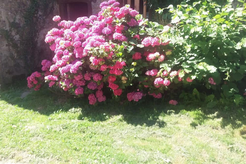 Photo of Outdoor in Dompierre-les-Eglises