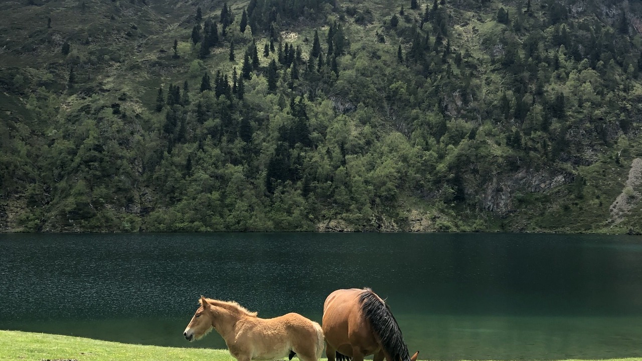 Photo of Outdoor in Cazaux-Frechet-Aneran-Camors