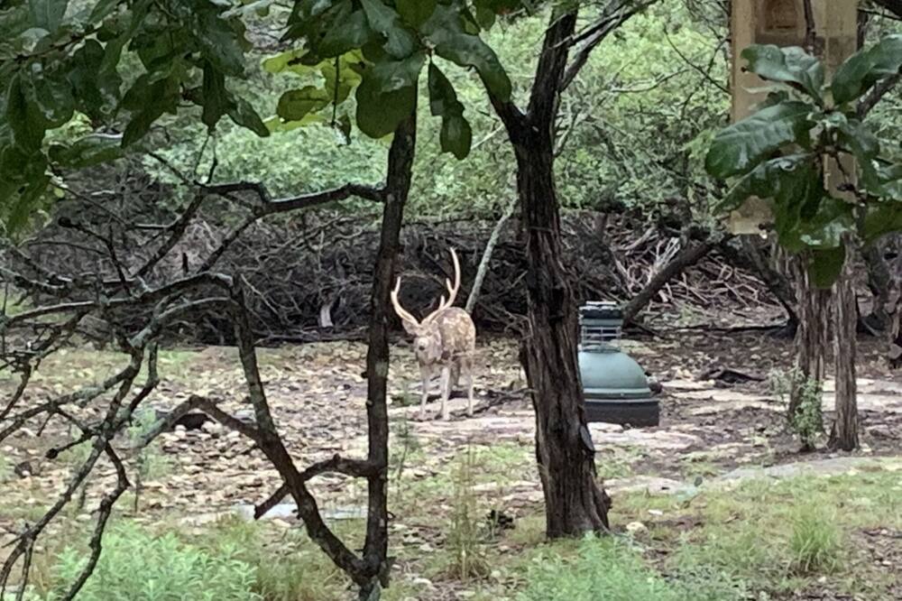 Photo of Outdoor in Blanco