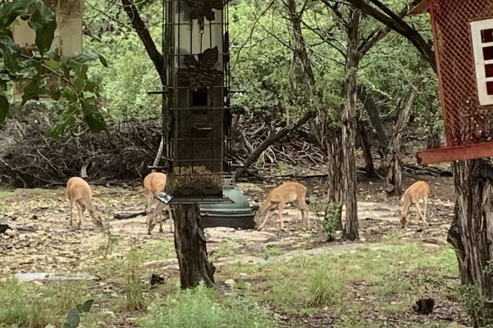 Photo of Outdoor in Blanco