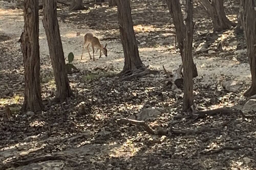 Photo of Outdoor in Blanco