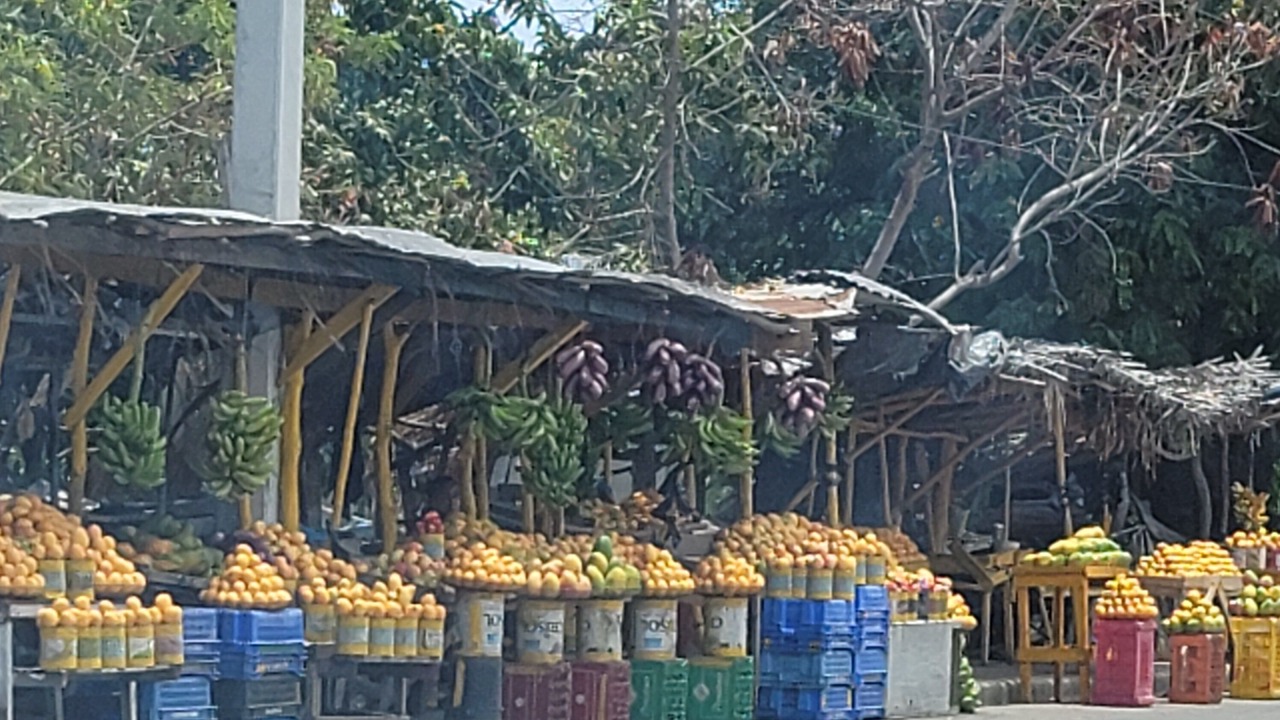 Photo of Others in Bani