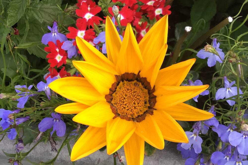 Photo of Others in Mattingley