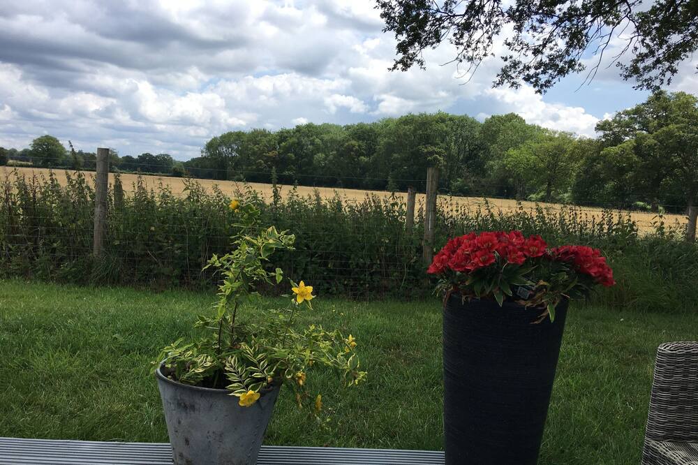 Photo of Others in Mattingley