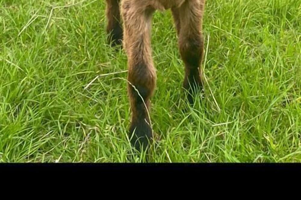 Photo of Others in Mattingley