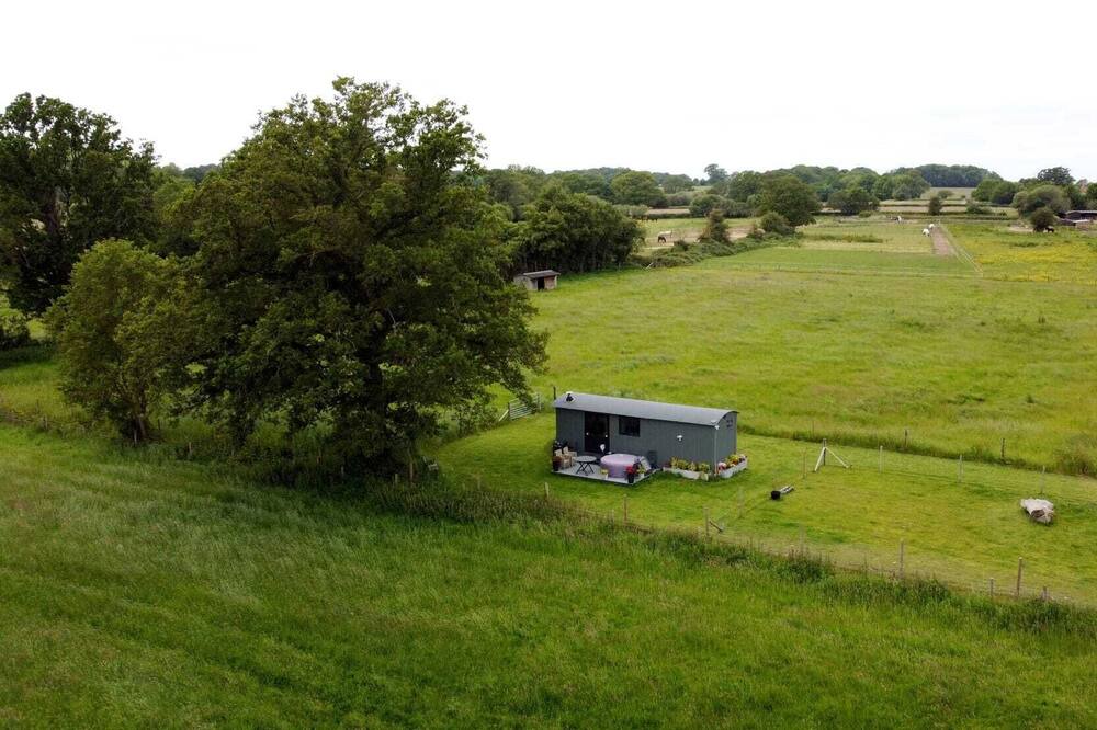 Photo of Others in Mattingley