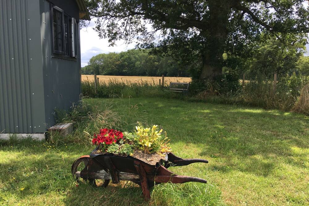 Photo of Others in Mattingley