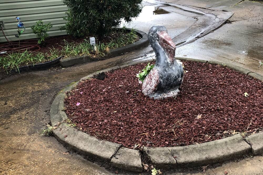 Photo of Outdoor in Farmerville