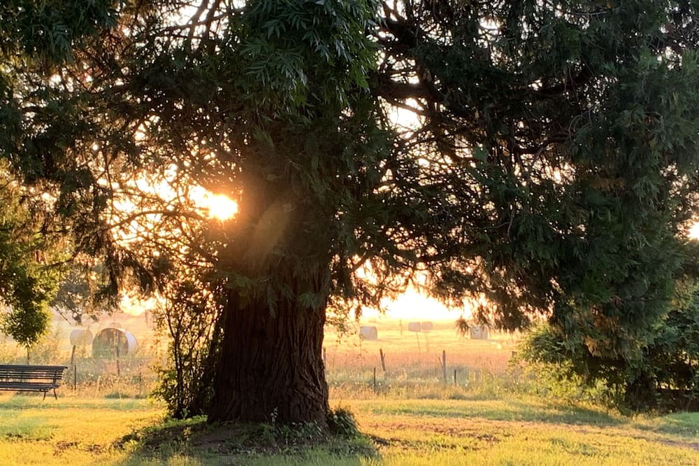 Photo of Outdoor in Rosey