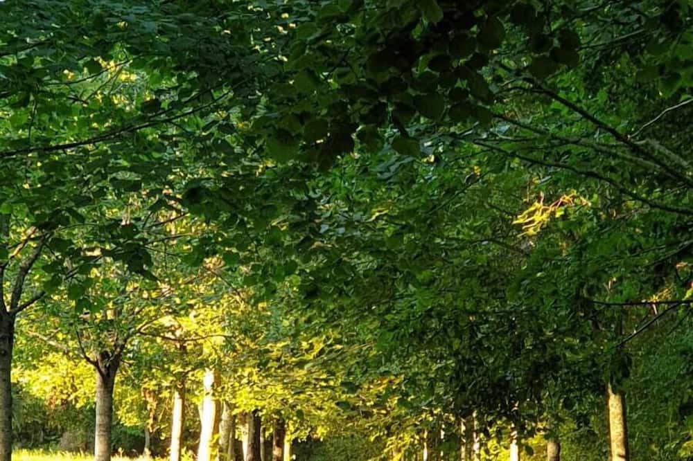 Photo of Outdoor in Rosey
