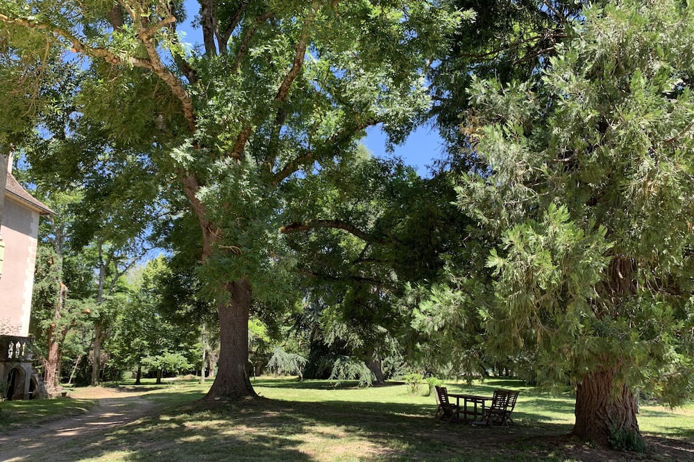 Photo of Outdoor in Rosey